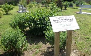 Intergenerational Native Plant Garden