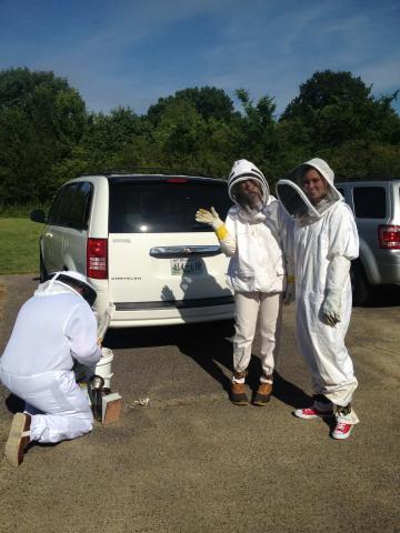 Volunteer Beekeepers
