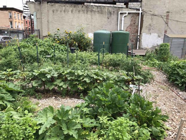 Garden with growing plots and water tanks